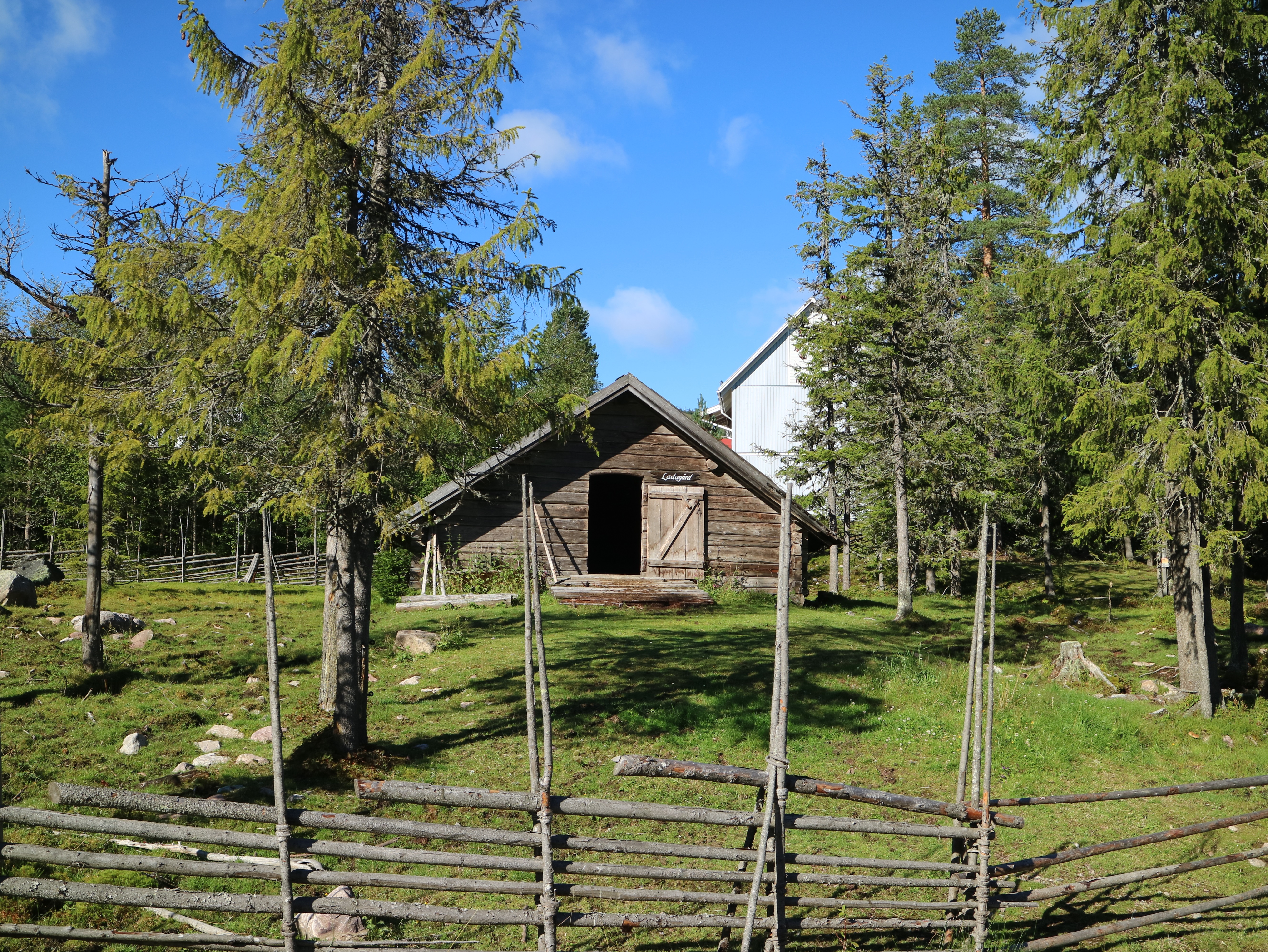 IMG_1636