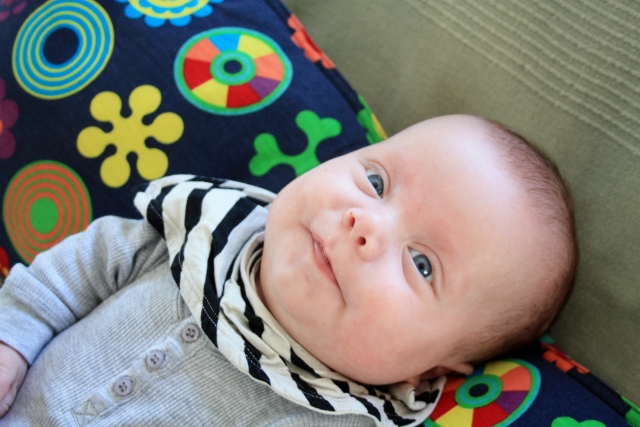 IMG_1170 (640x427)