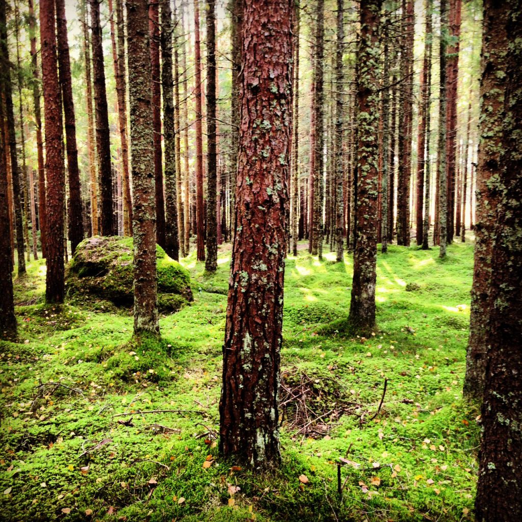 blogg4